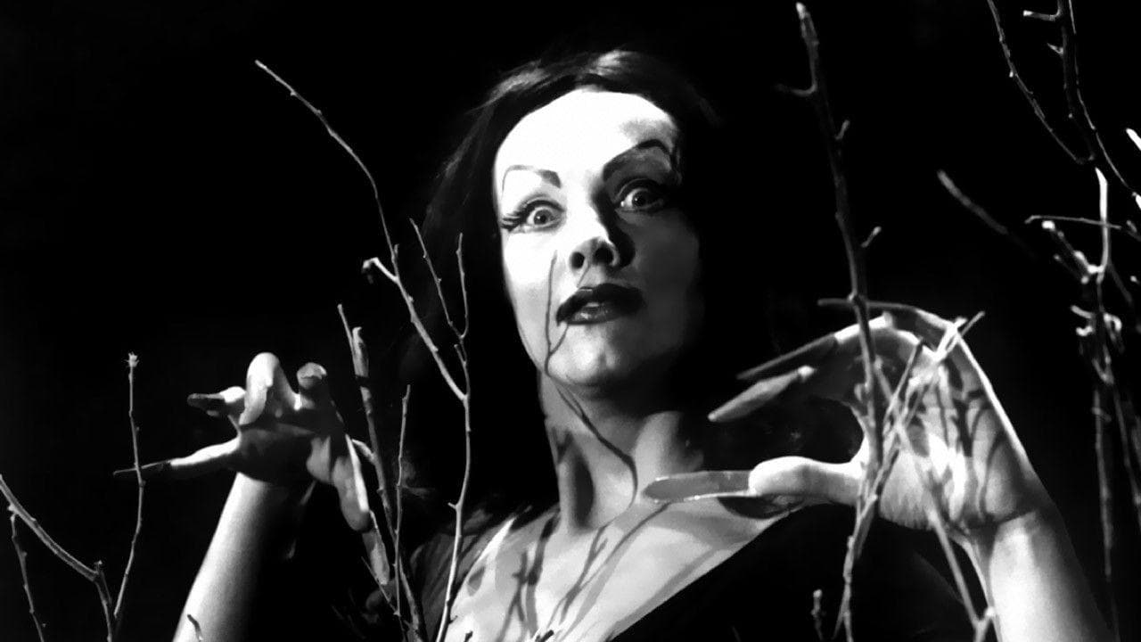 What Happened To Vampira, Who Came Before Elvira?