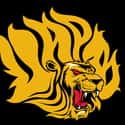 Arkansas-Pine Bluff Golden Lions on Random Best SWAC Basketball Teams