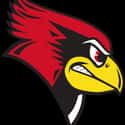Illinois State Redbirds on Random Best Missouri Valley Basketball Teams