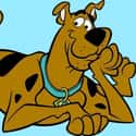Scooby-Doo on Random Best Pop Culture Pet Names