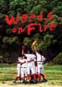 Weeds on Fire on Random Best Baseball Films & Documentaries on Netflix
