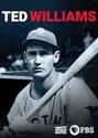 American Masters: Ted Williams on Random Best Baseball Films & Documentaries on Netflix