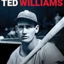 American Masters: Ted Williams on Random Best Baseball Films & Documentaries on Netflix