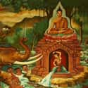 The Demon Māra Tried To Prevent Siddhartha Gautama From Achieving Enlightenment on Random People Are Satan’s Equivalents In Different World Religions