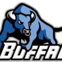 Buffalo Bulls on Random Best Mid-American Football Teams