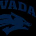 Nevada Wolf Pack on Random Best Mountain West Football Teams