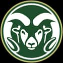 Colorado State Rams on Random Best Mountain West Football Teams