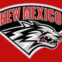 New Mexico Lobos on Random Best Mountain West Football Teams