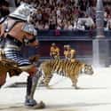 MYTH: Gladiators Resemble What You Saw In 'Gladiator'  on Random Myths About Ancient Rome