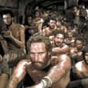 MYTH: Slaves Rowed Naval Ships on Random Myths About Ancient Rome