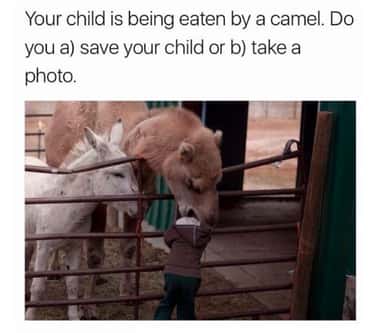 The 22 Best Funny But Sad Memes