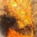 Sulphur English is listed (or ranked) 15 on the list The Best Heavy Metal Albums of 2019