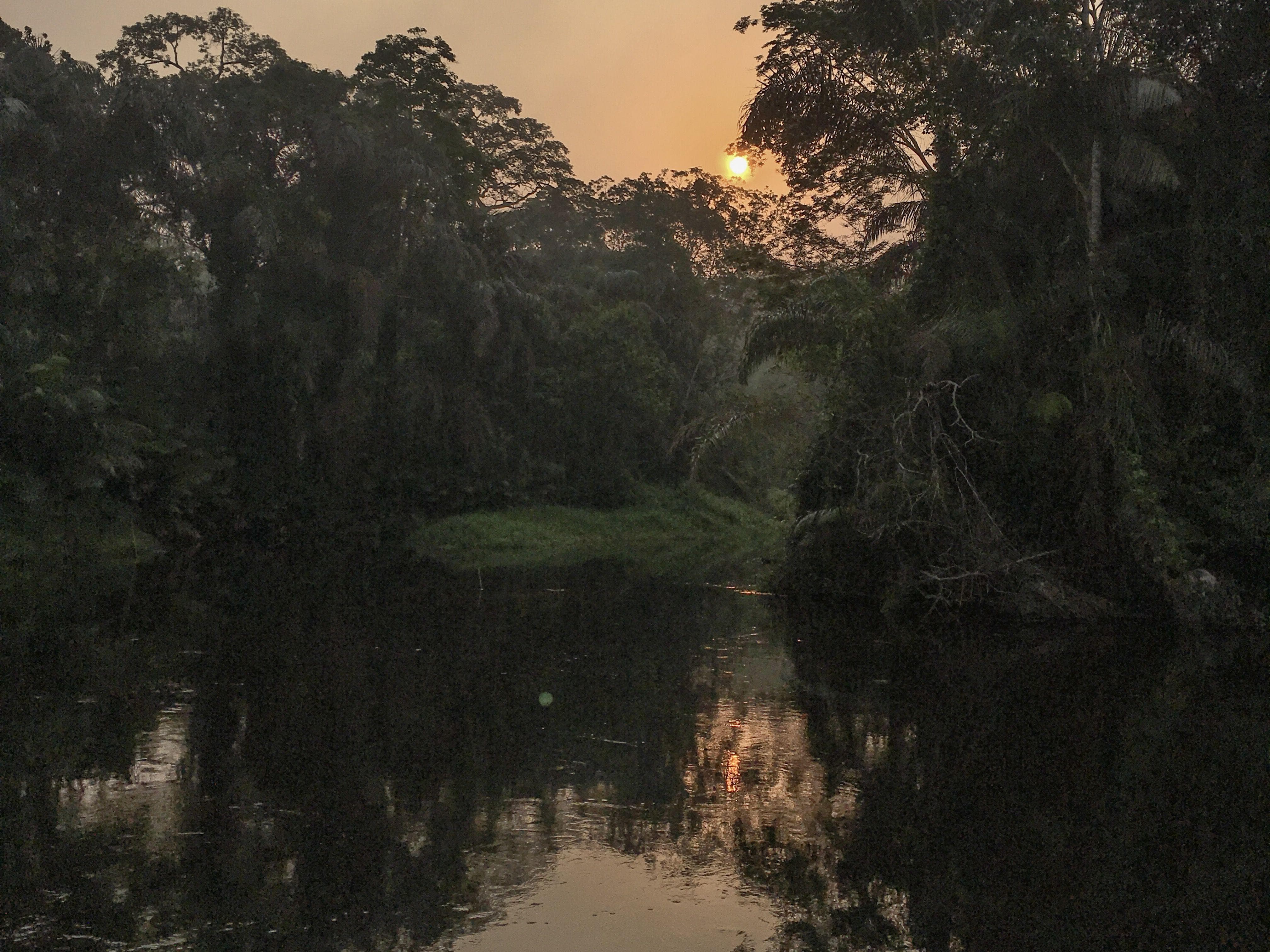Creepy Legends From The Swamps Of Louisiana