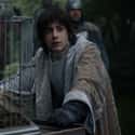 What Happened With Robin Arryn? on Random Abandoned Plot Threads From Game Of Thrones