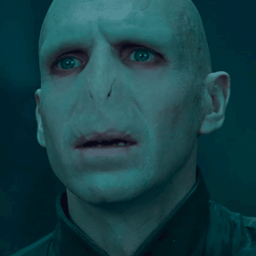 The 20 Best Voldemort Quotes, Ranked By Potterheads