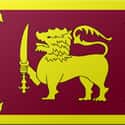 Sri Lanka on Random Surprising Meanings Behind Countries' Unique Flags