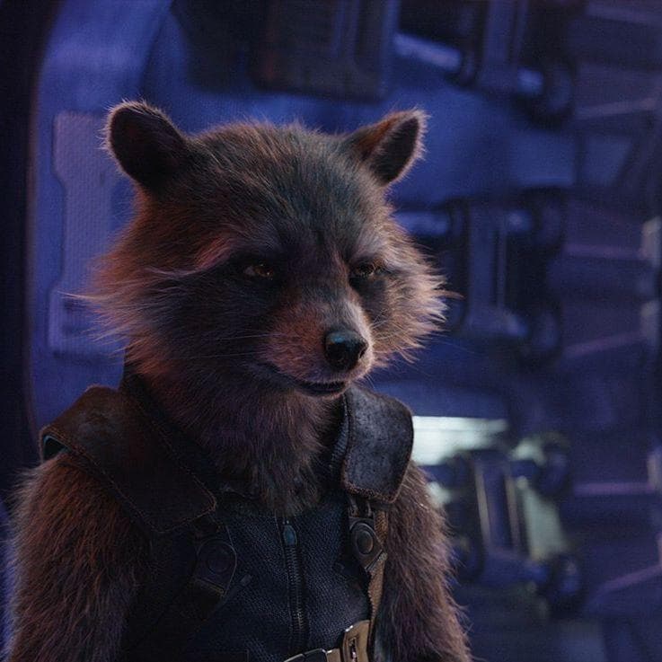 Стражи Галактики 2 енот. Енот ракета. Ракета Стражи Галактики. Стражи Галактики 2 ракета