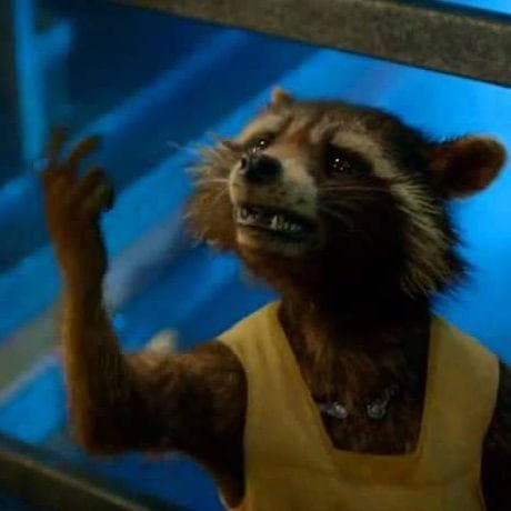 The Best Rocket Raccoon Quotes From The MCU, Ranked By Fans