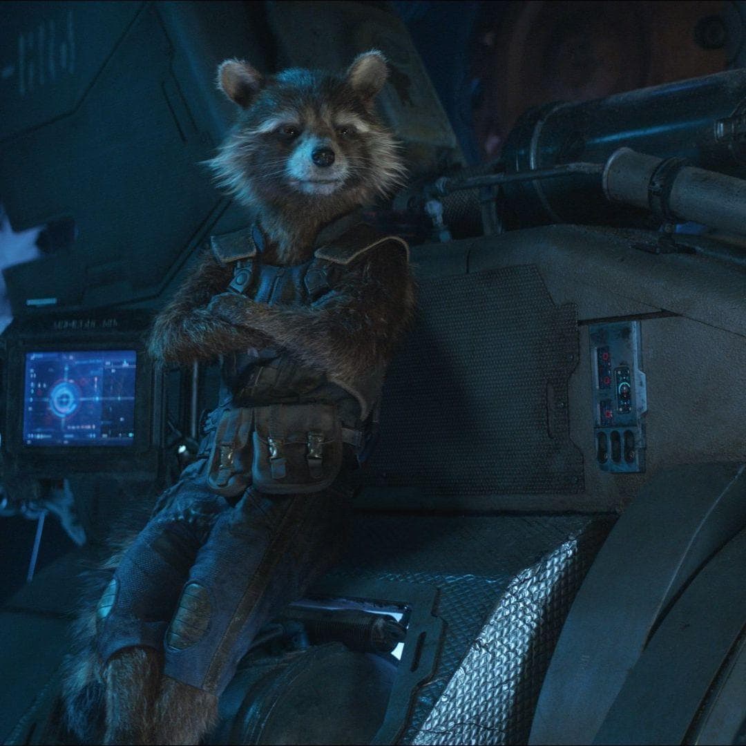 The Best Rocket Raccoon Quotes From The MCU, Ranked By Fans