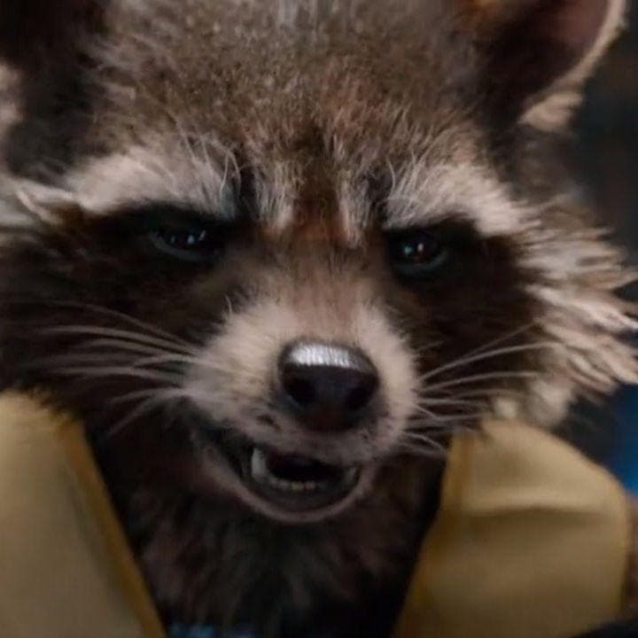 The Best Rocket Raccoon Quotes From The MCU, Ranked By Fans