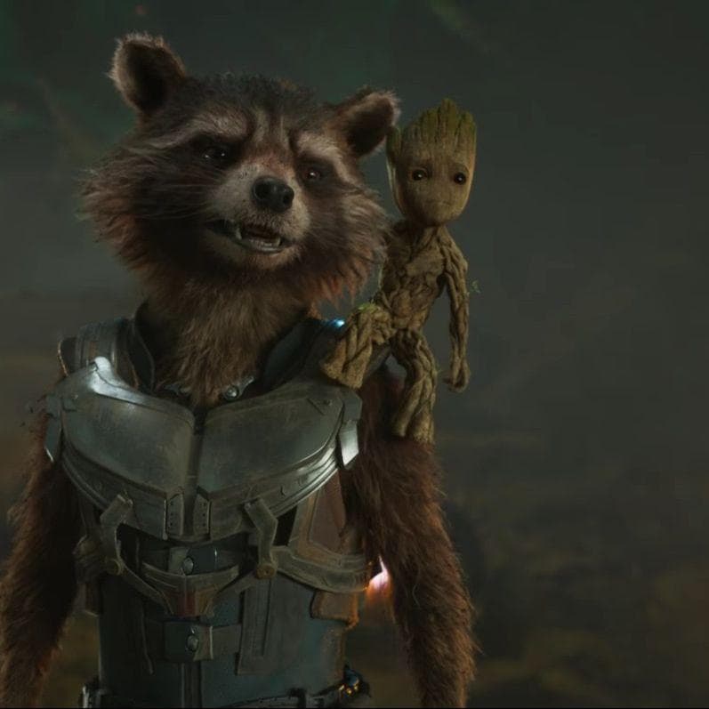 The Best Rocket Raccoon Quotes From The MCU, Ranked By Fans