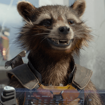 The Best Rocket Raccoon Quotes From The MCU, Ranked By Fans