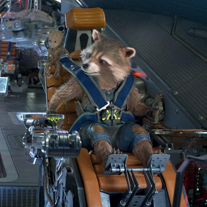 The Best Rocket Raccoon Quotes From The MCU, Ranked By Fans