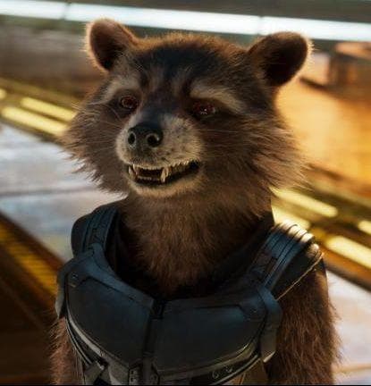 The Best Rocket Raccoon Quotes From The MCU, Ranked By Fans