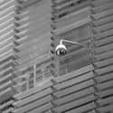 Anonymous Viewers Could Watch You Through Your Security Cameras on Random Ways Your Smart Devices Can Turn Against You