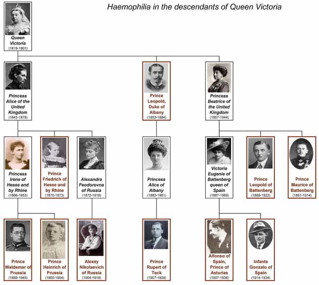 family tree queen victoria hemophilia