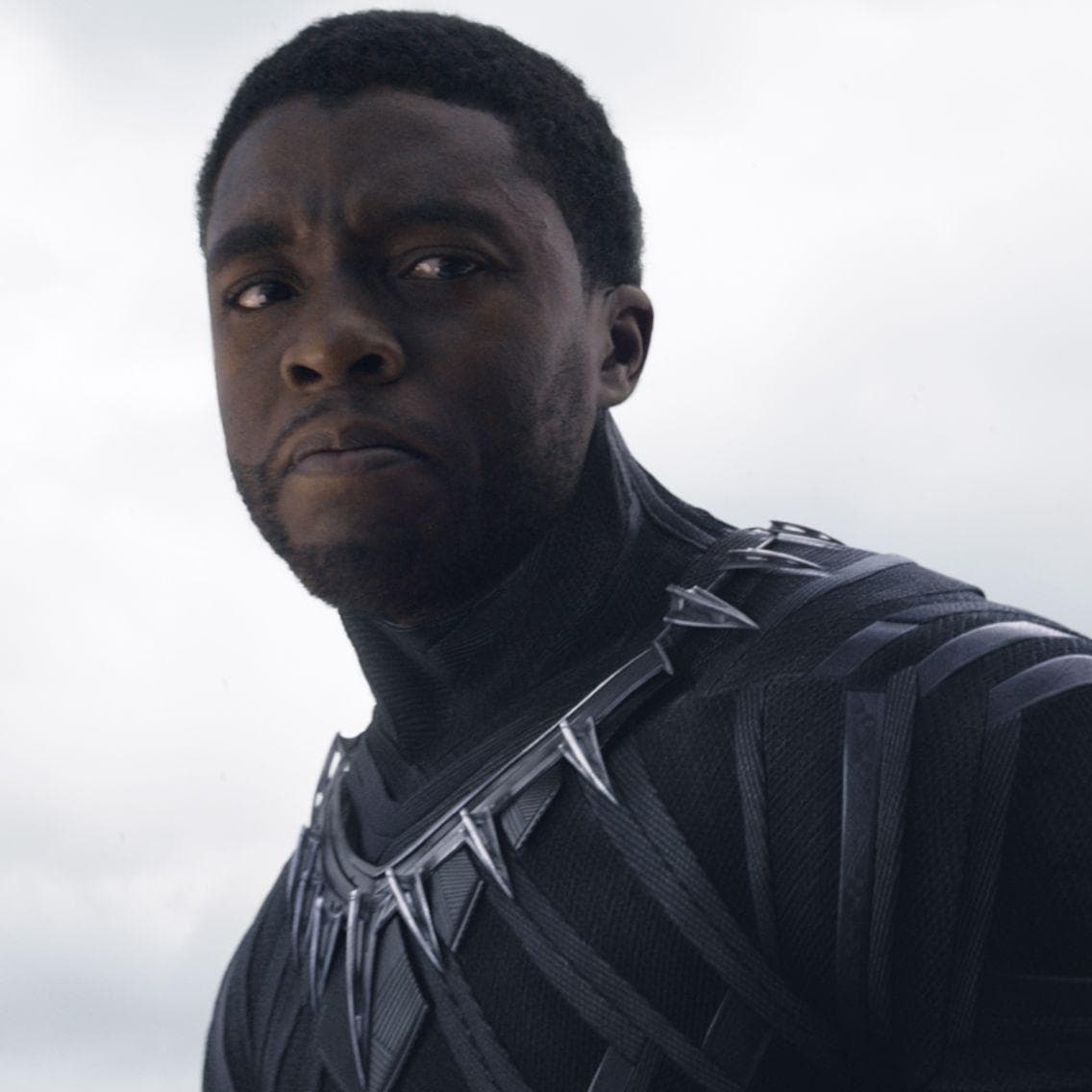 Black Panther's Best Quotes From MCU Movies, Ranked By Fans