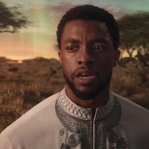 Black Panther's Best Quotes From MCU Movies, Ranked By Fans