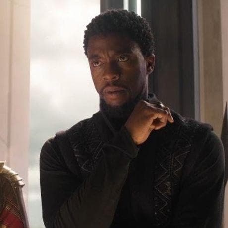 Black Panther's Best Quotes From MCU Movies, Ranked By Fans