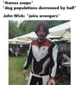 John Wick Snaps Back on Random John Wick Memes Only True Dog Lovers Will Understand