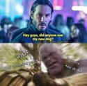 Forgive Thanos, For He Knows Not What He Does on Random John Wick Memes Only True Dog Lovers Will Understand