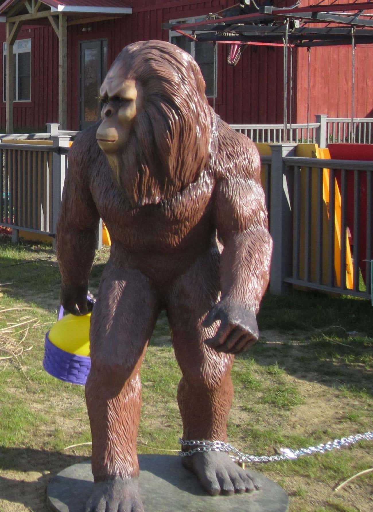 Some Bigfoot Enthusiasts Believe A 'Gigantopithecus' Was Able To Cross The Bering Strait