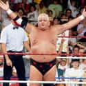 Dusty Rhodes on Random Best Members Of Wrestling's New World Ord