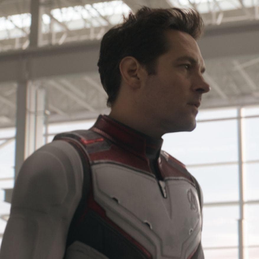 AntMan's Best Quotes From MCU Movies, Ranked By Fans