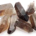 Smoky Quartz Empathic Warrior Rough Crystal on Random Best Crystals for Grounding