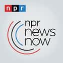 NPR News Now on Random Best NPR Podcasts