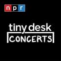 Tiny Desk Concerts - Audio on Random Best NPR Podcasts