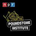 Live from the Poundstone Institute on Random Best NPR Podcasts