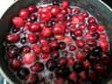Cranberry Tarts on Random Unconventional Foods People Ate During Revolutionary Wa