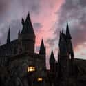 The Parks Use A British Exchange Program on Random Wizarding World Of Harry Potter Secrets Revealed By Employees