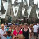 The Park Is Overcrowded Thanks To A J.K. Rowling Request on Random Wizarding World Of Harry Potter Secrets Revealed By Employees