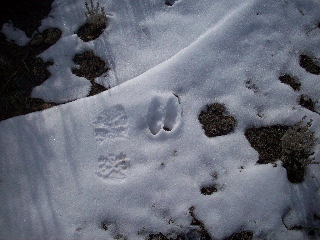 Even Modern-Day Researchers Say Not All The Prints Can Be Explained