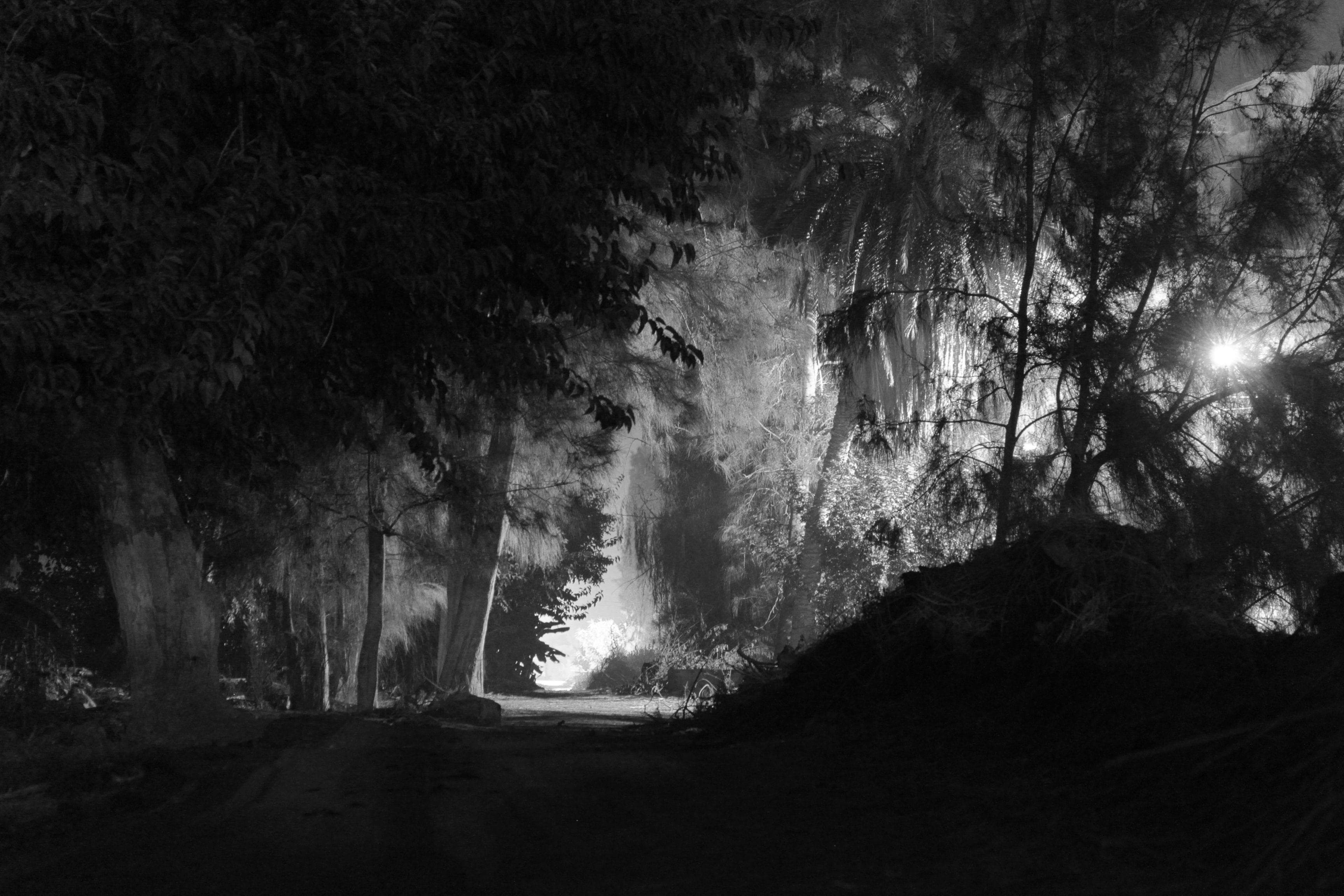 After The Footprints Appeared, Locals Were Too Afraid To Venture Out At Night