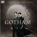  Gotham - Season 5 on Random Best Seasons of 'Gotham'
