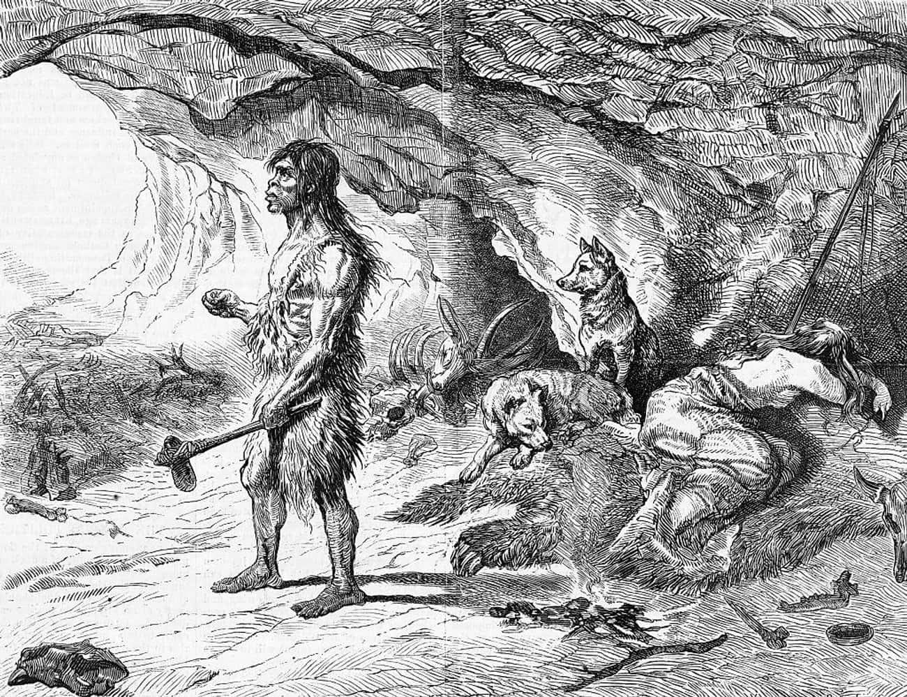Cave dweller man. Неандерталец рисунок. Неандерталец черно-белый. Неандерталец карикатура.