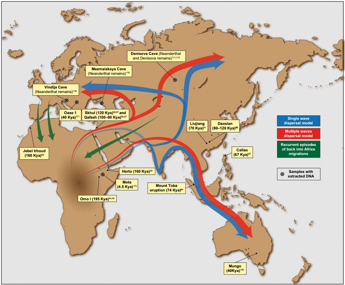 Did Humans And Neanderthals Mate?